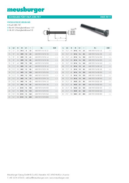 Artikel 65500900 - Schrauben DIN 787 für T-Nuten 10mm M10 x 100mm  Festigkeit 10.9